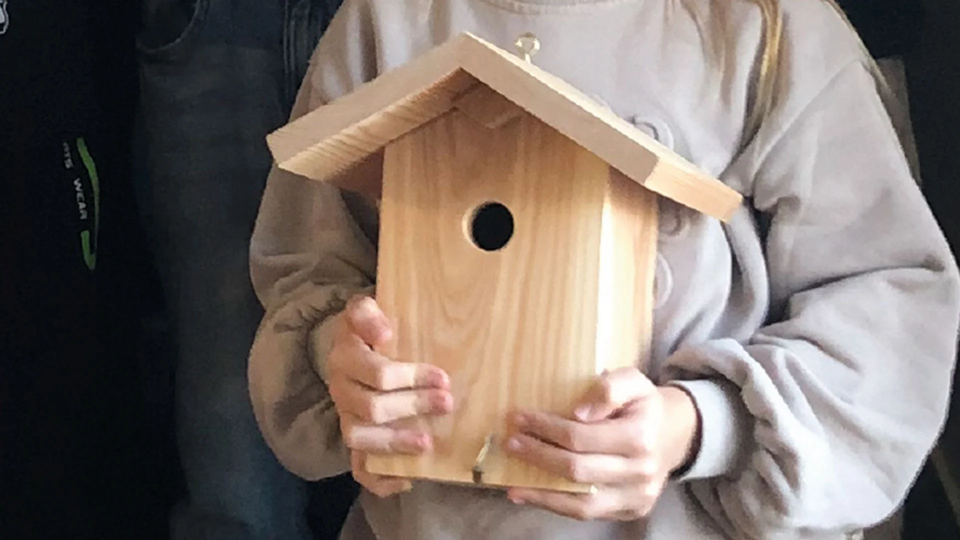 Kreatives Vogelschutzprojekt an der Volksschule